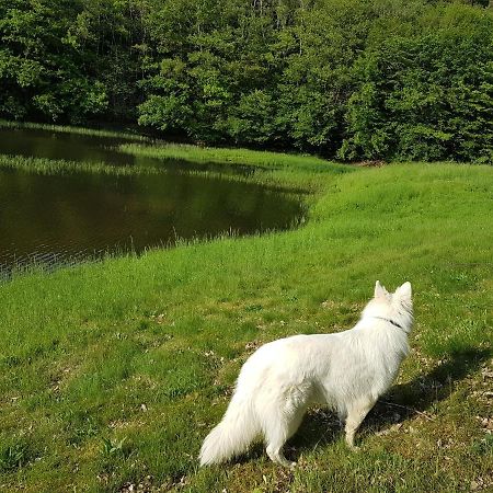Gite Le Domaine D Orphee Marmagne  Bagian luar foto