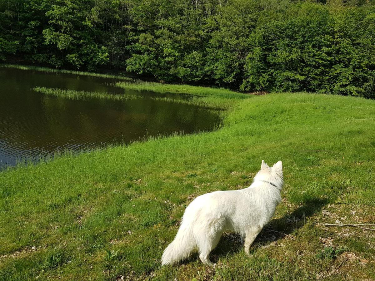 Gite Le Domaine D Orphee Marmagne  Bagian luar foto
