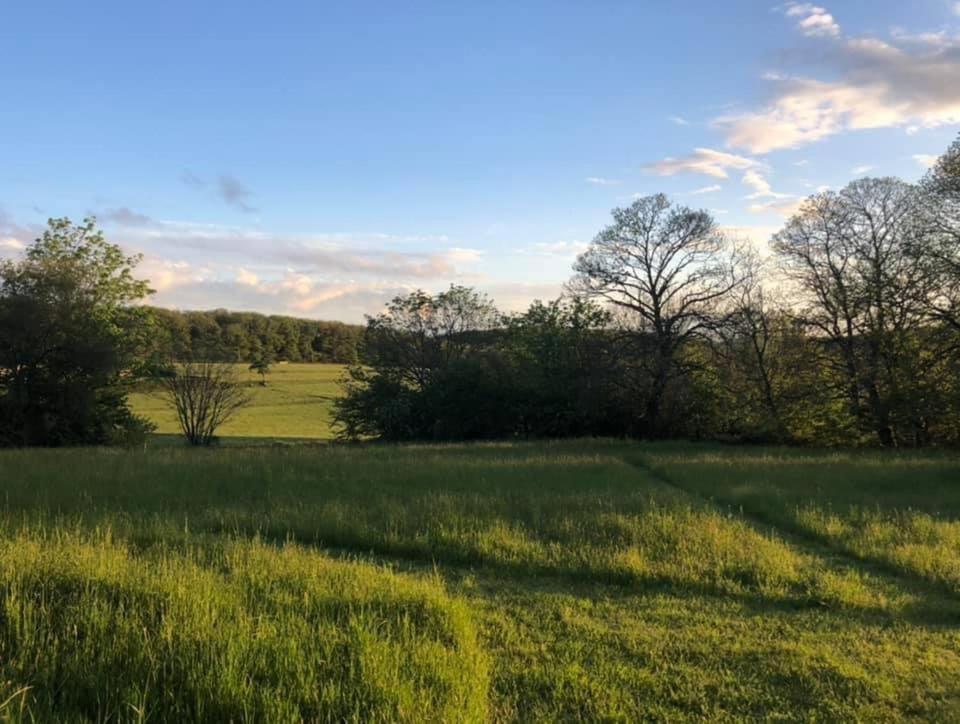 Gite Le Domaine D Orphee Marmagne  Bagian luar foto