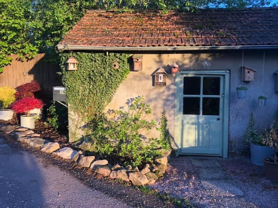 Gite Le Domaine D Orphee Marmagne  Bagian luar foto