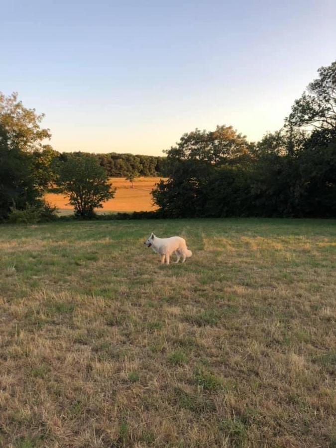 Gite Le Domaine D Orphee Marmagne  Bagian luar foto